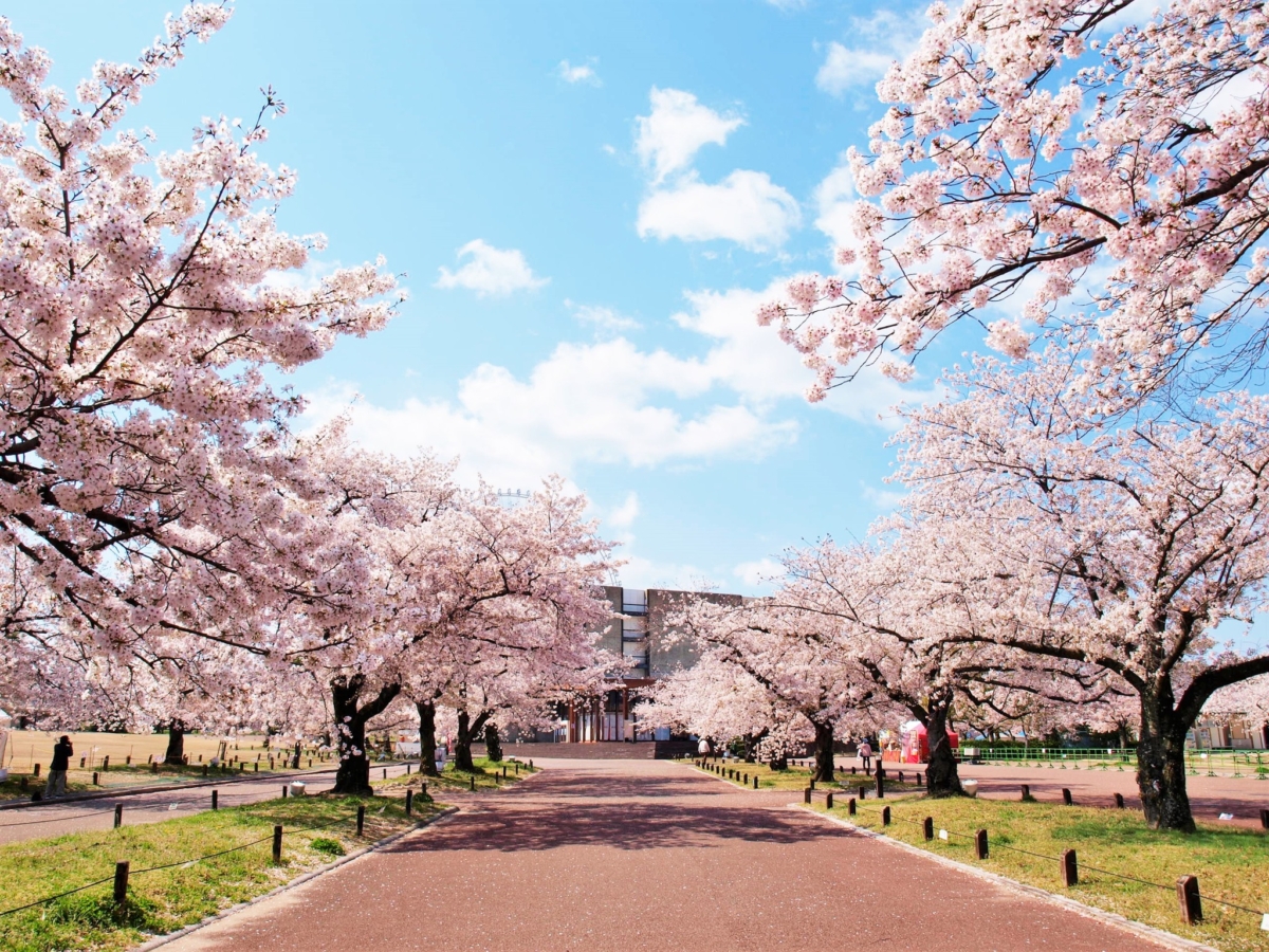 大阪萬博紀念公園是為了紀念1970年大阪萬國博覽會而修建的公園。