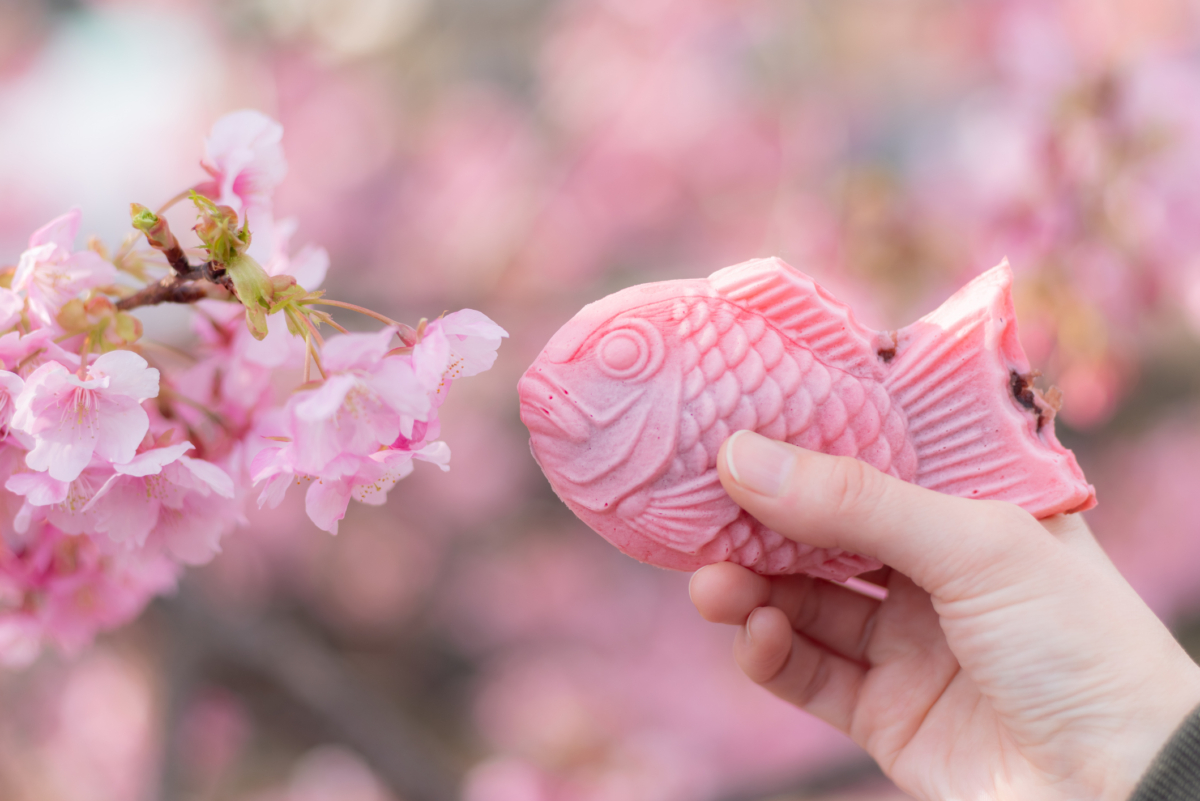 靜岡河津町櫻花祭必試粉紅色櫻花鯛魚燒~