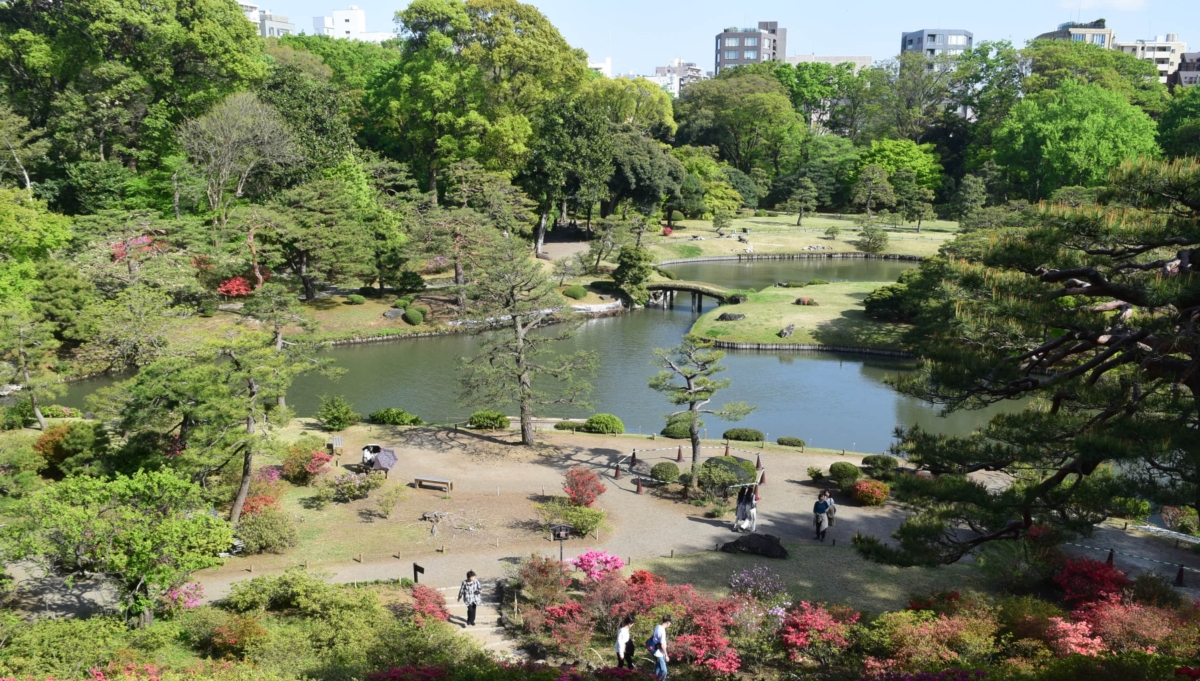 六義園採用「池泉迴遊式庭園」設計,圍繞池塘的步道,可從不同角度欣賞庭園景色。