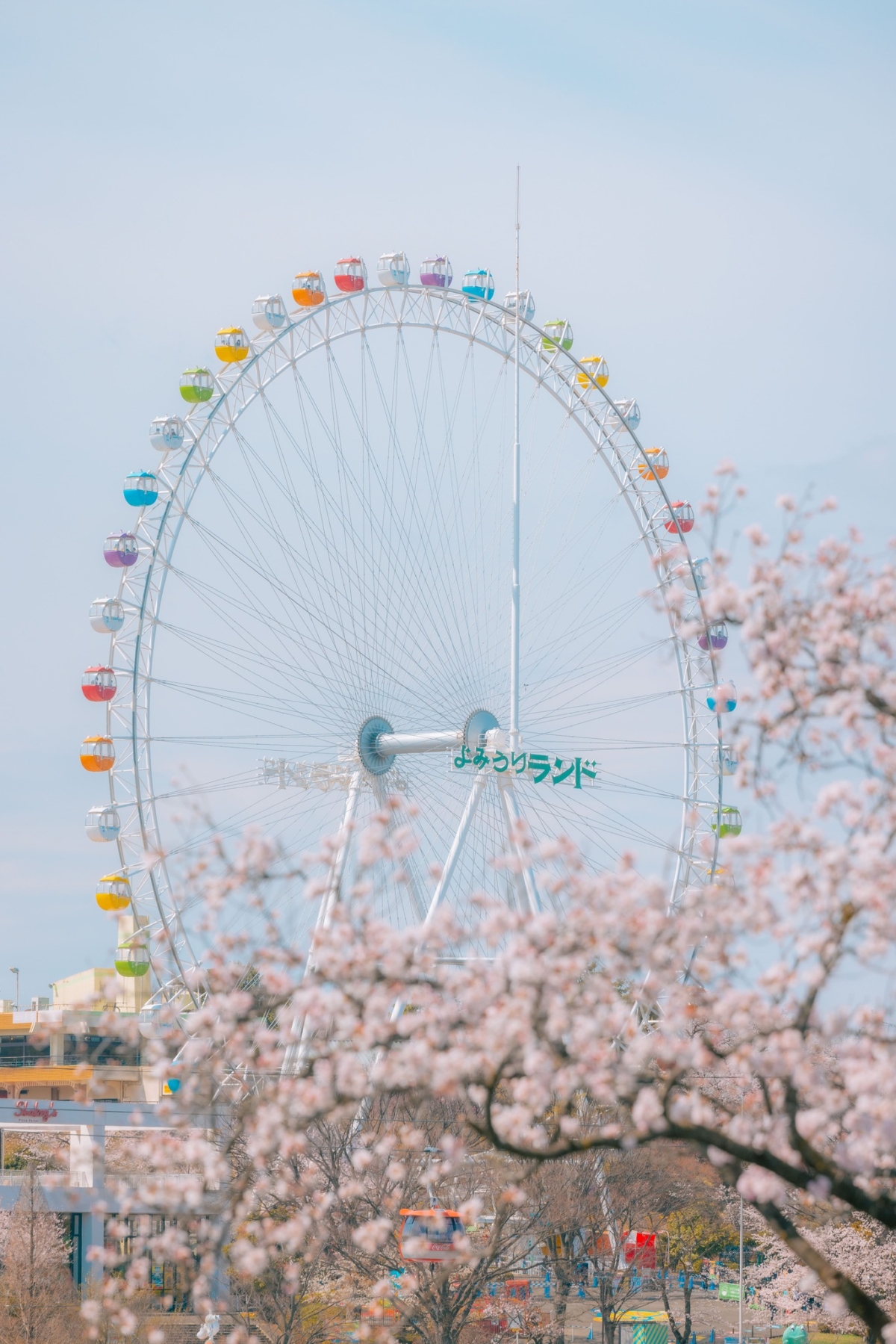 摩天輪360°俯瞰櫻花~