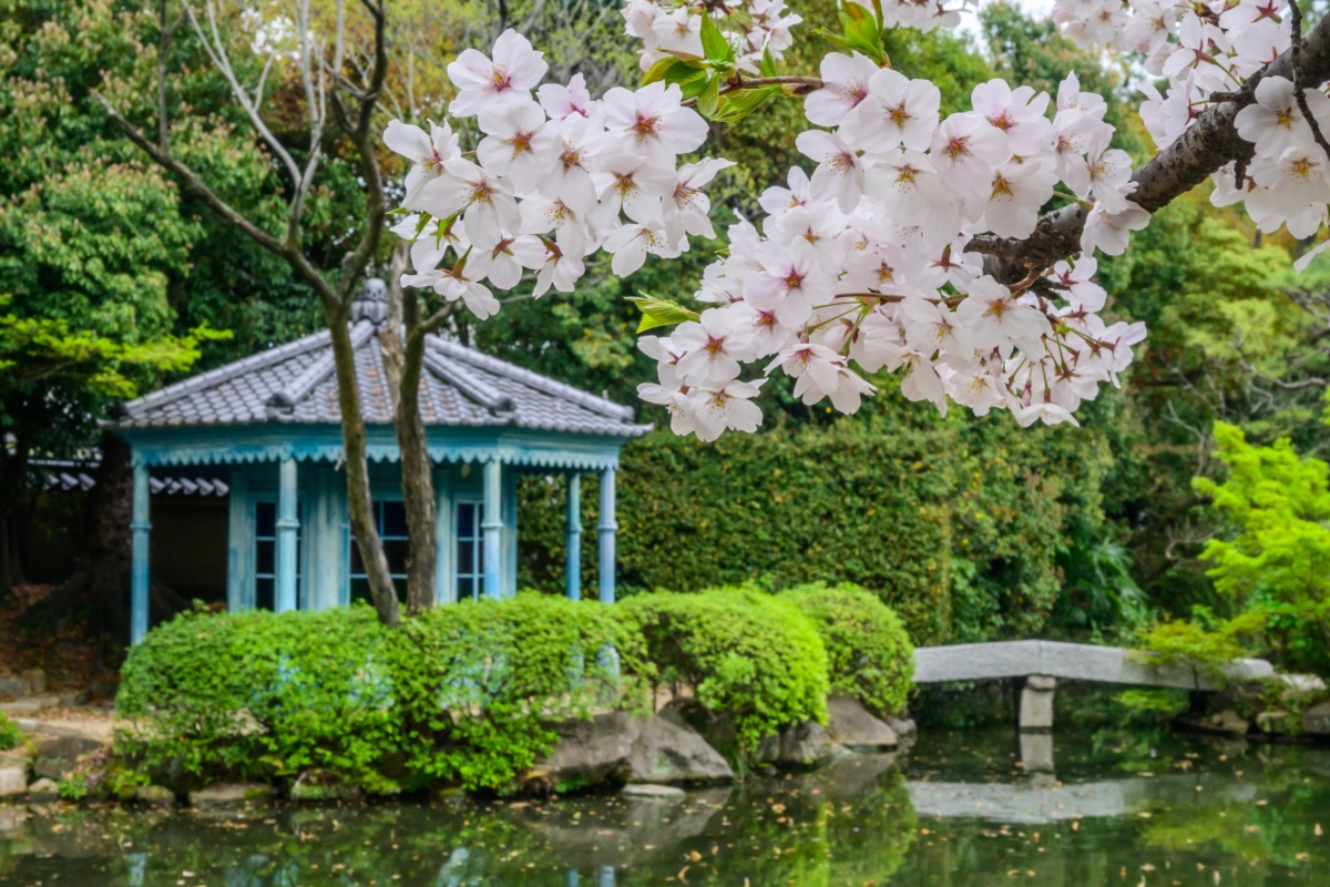 粉嫩櫻花搭配綠意盎然的池塘與小亭，簡直是世外桃源！