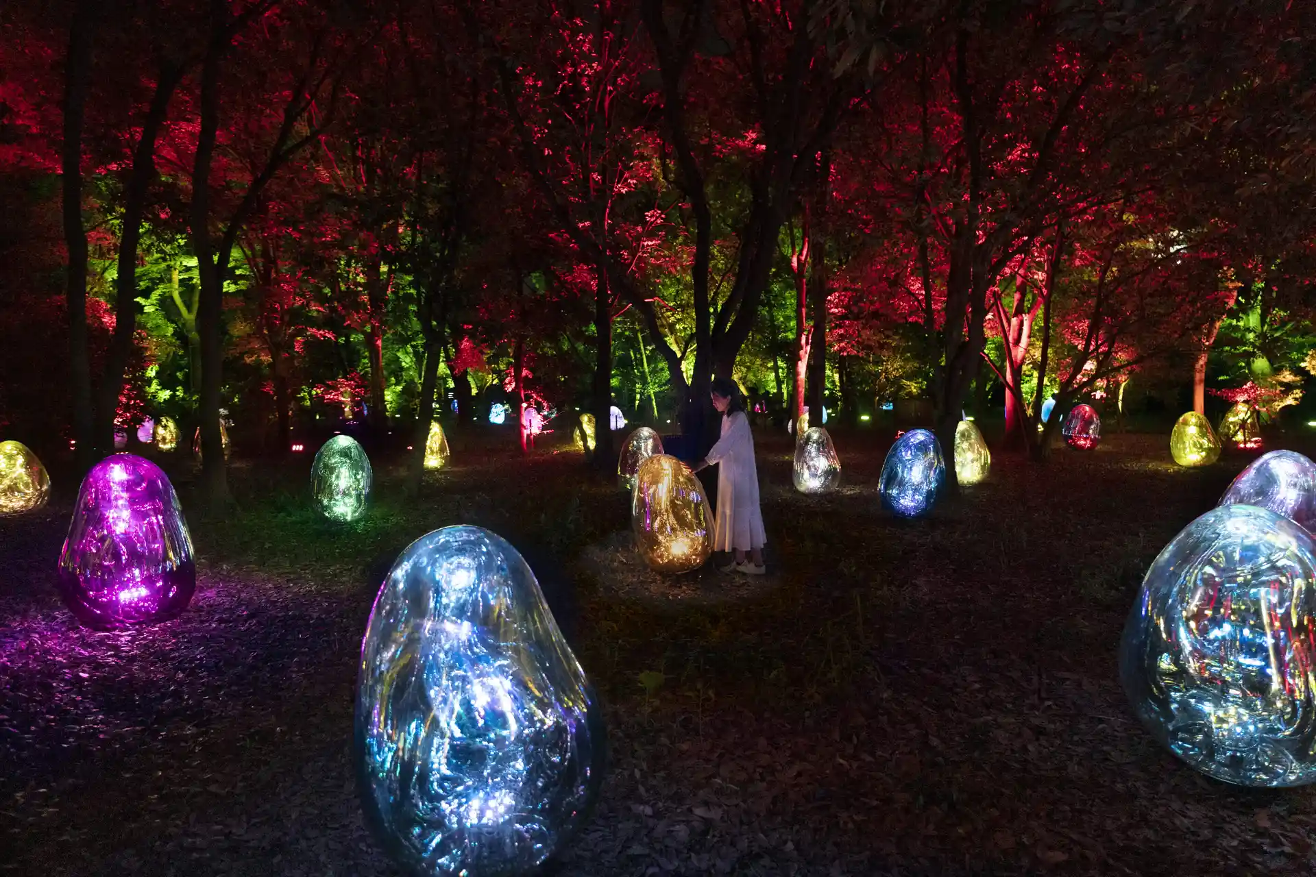 TeamLab 燈光秀讓夜晚的長居植物園變得神秘又迷人