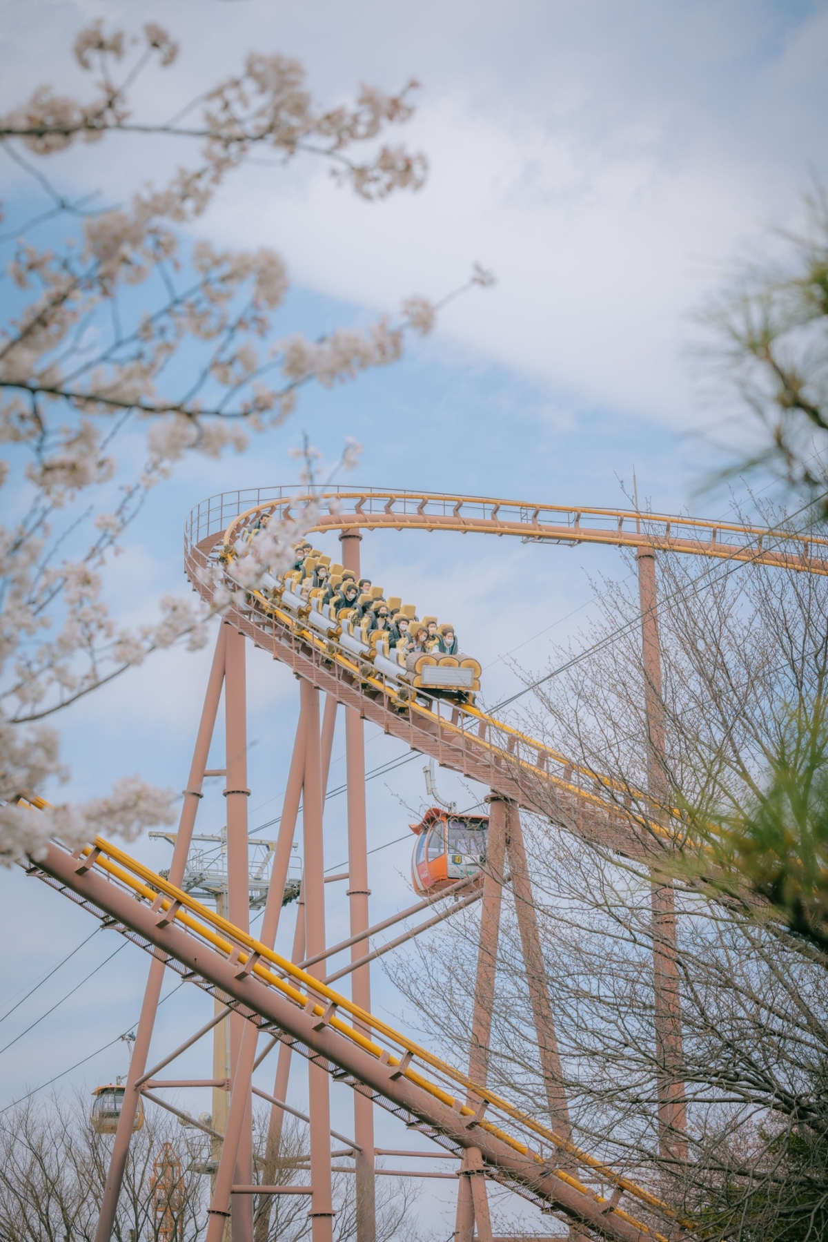乘坐雲霄飛車極速穿越櫻花林!