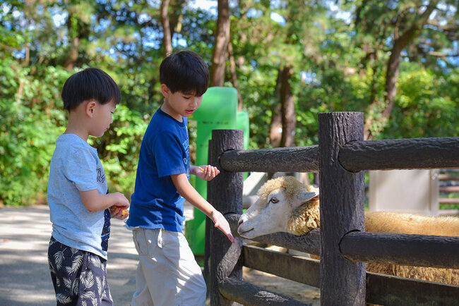 「動物之森」是海之中道海濱公園內的開放式動物園。