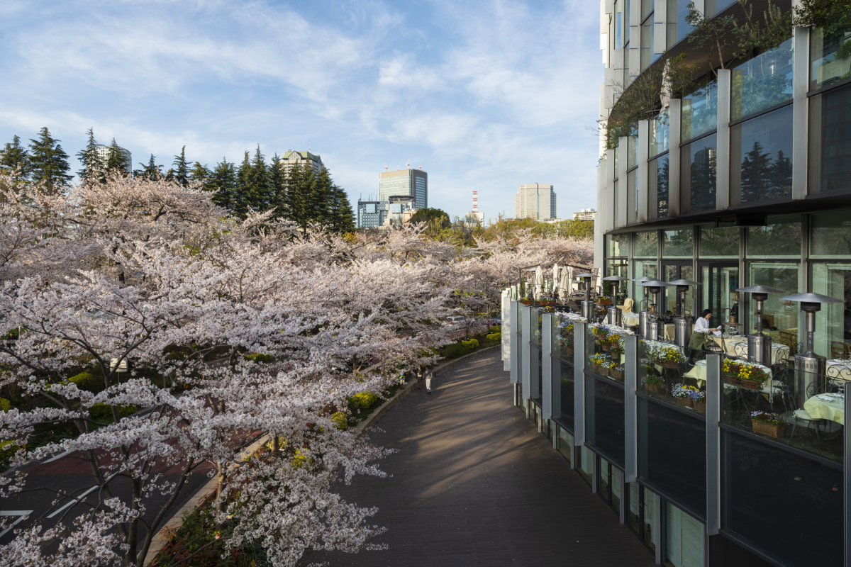 東京中城(TOKYO MIDTOWN)。