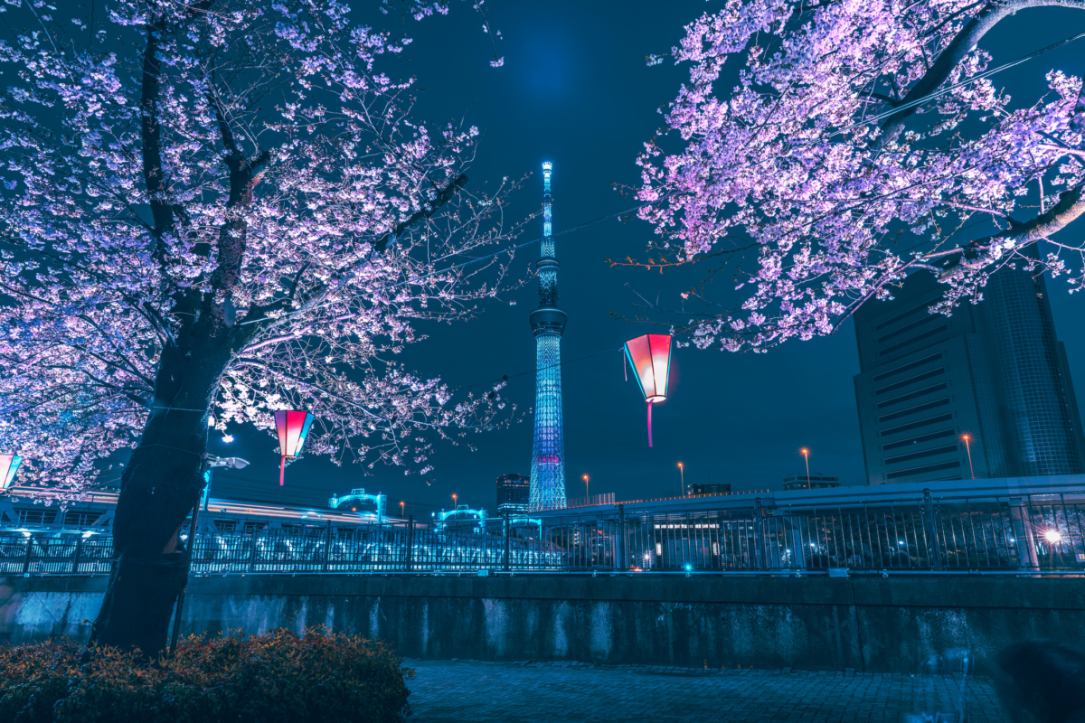 入夜後,從隅田公園可以看到亮燈的晴空塔,意境十足!