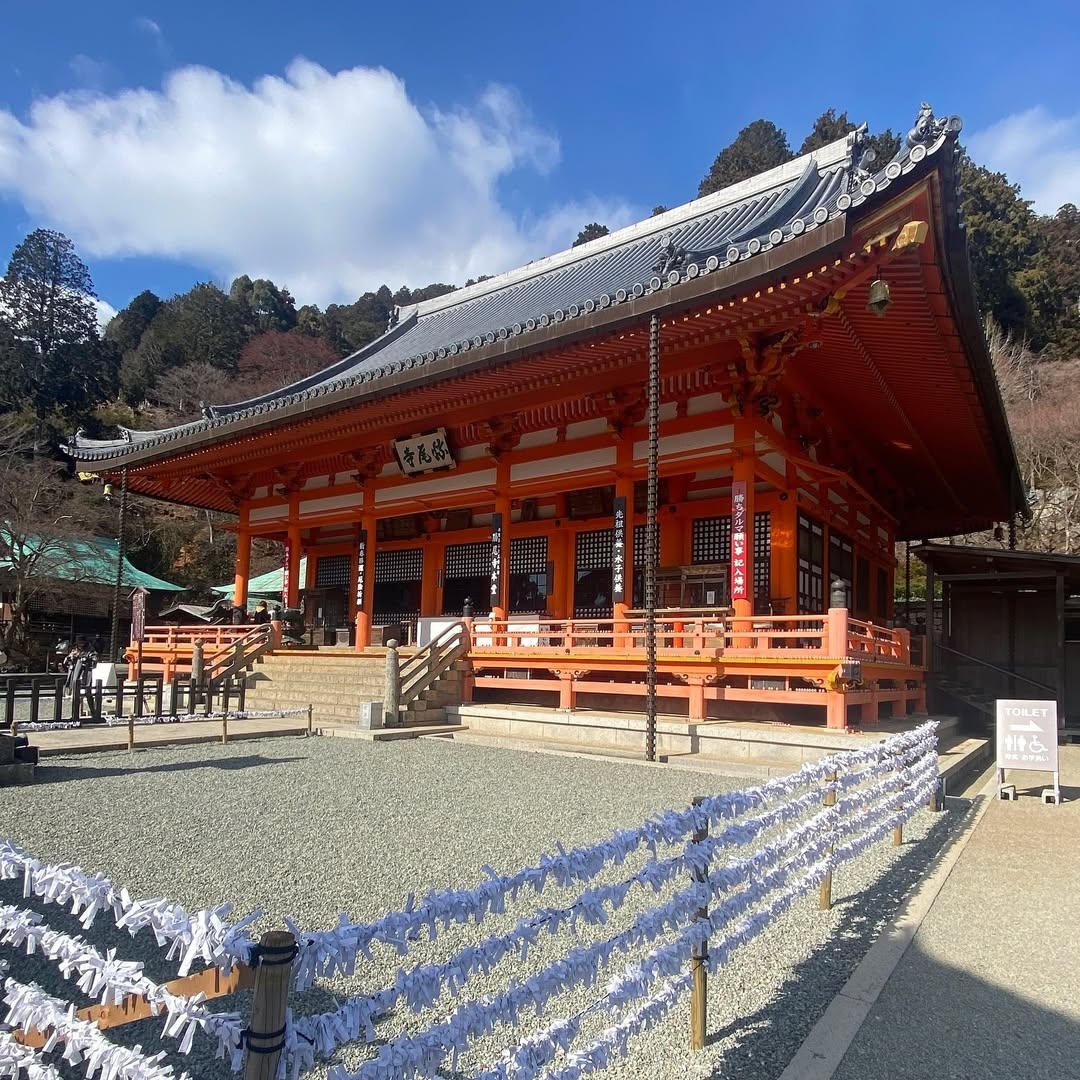 晴空下的勝尾寺本堂莊嚴肅穆,前方滿滿的祈願籤超有儀式感,來這裡許願最適合不過!