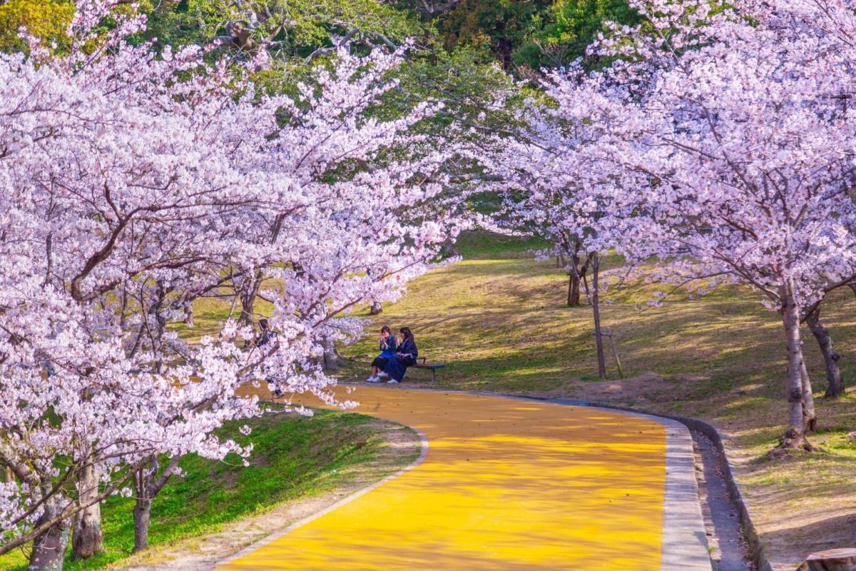 如果想在福岡找個能悠閒散步、感受四季美景的地方,西公園絕對值得一訪!