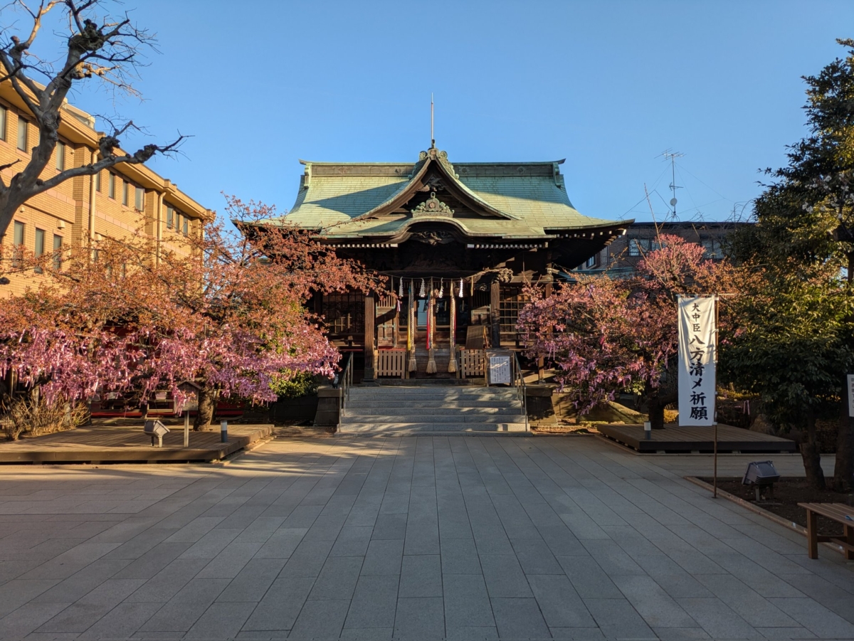 櫻神宮以早開的河津櫻聞名,可以搶先觀賞夢幻粉色花海!