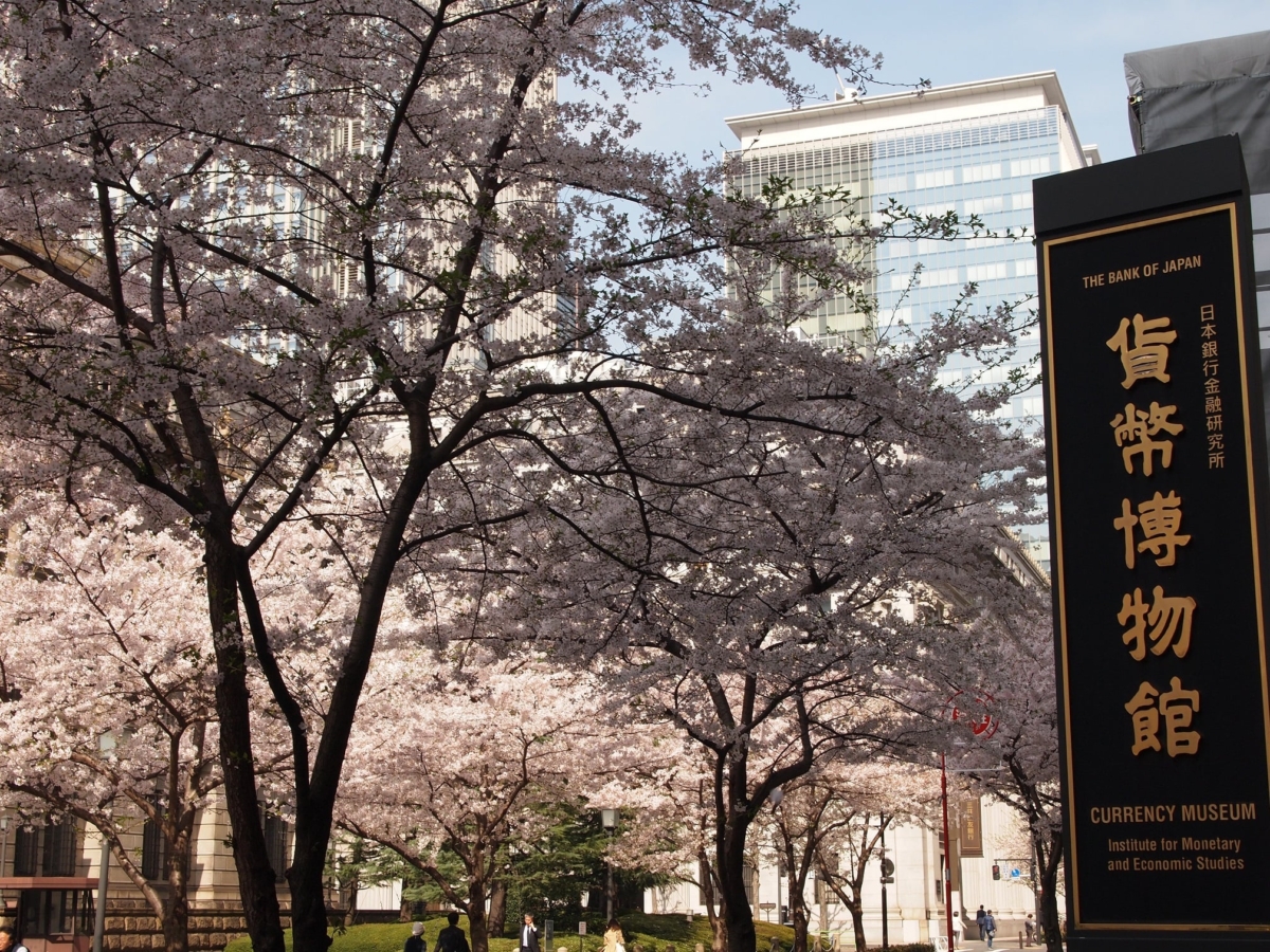 「SAKURA FES NIHONBASHI 2025」將於3月19日至4月6日期間舉辦。