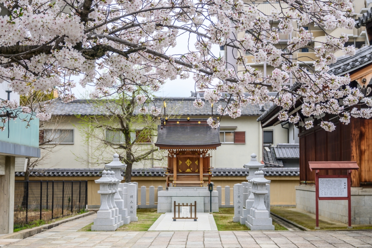 櫻花樹下的小神社，幽靜典雅，為四天王寺增添一絲神秘與寧靜感