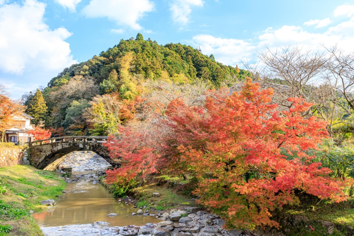 坐落於秋月城下町入口、橫跨野鳥川的眼鏡橋(又稱目鏡橋),是一座承載百年歷史的石橋。