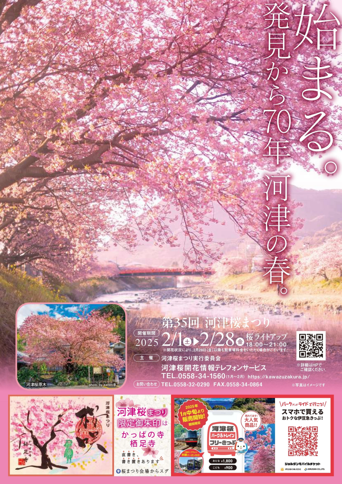 今年櫻花祭將會延長至3月9日