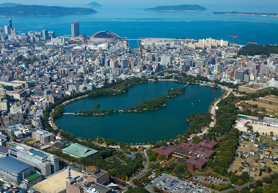 漫步大濠公园,不仅能欣赏湖光樱影,还可探索柳岛、松岛、菖蒲岛。