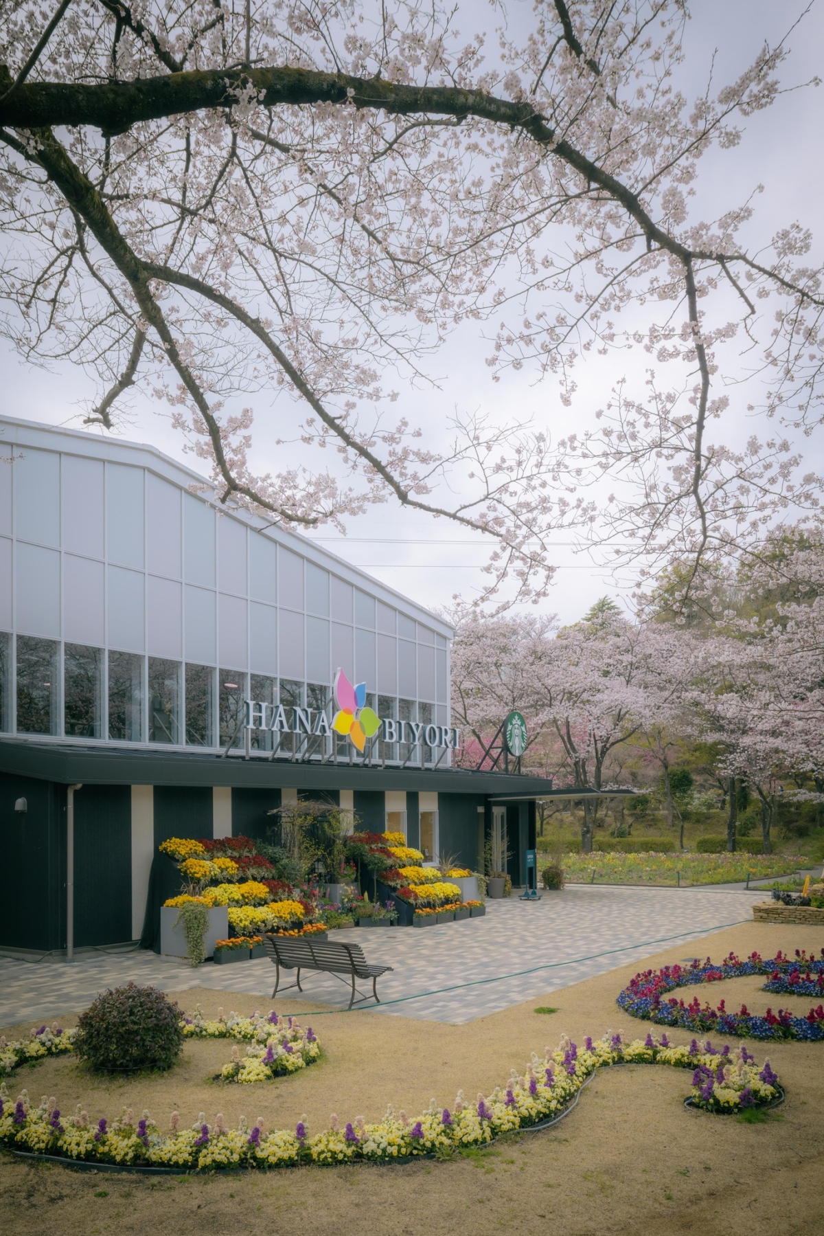 HANA・BIYORI植物園設有日本首間星巴克花園店，被繽紛花卉包圍～