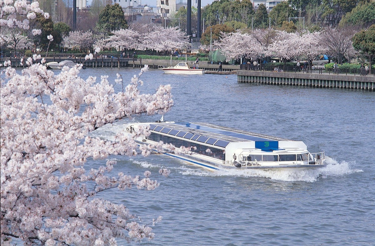 可以趁住櫻花季節到毛馬櫻之宮公園的大川搭乘遊船賞櫻!