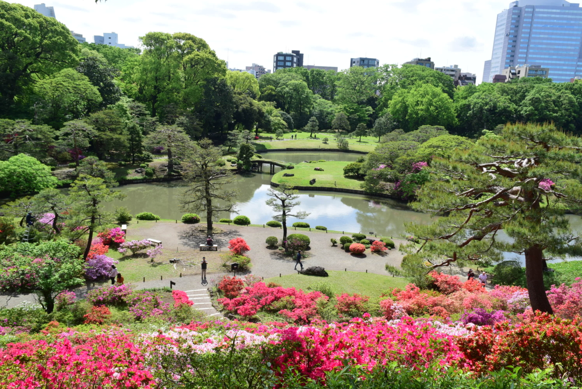 六義園是一座擁有超過300年歷史的日本傳統庭園。