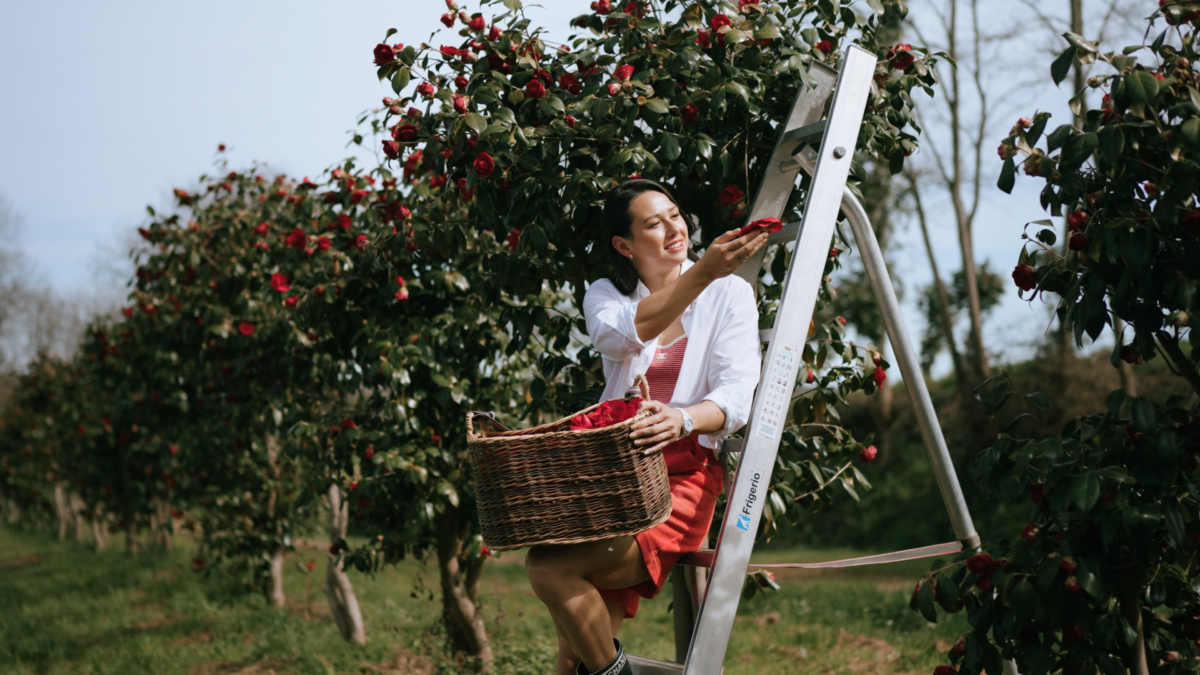 在法國Gaujacq紅山茶花上認識了自己堅韌特質的Siobhan。