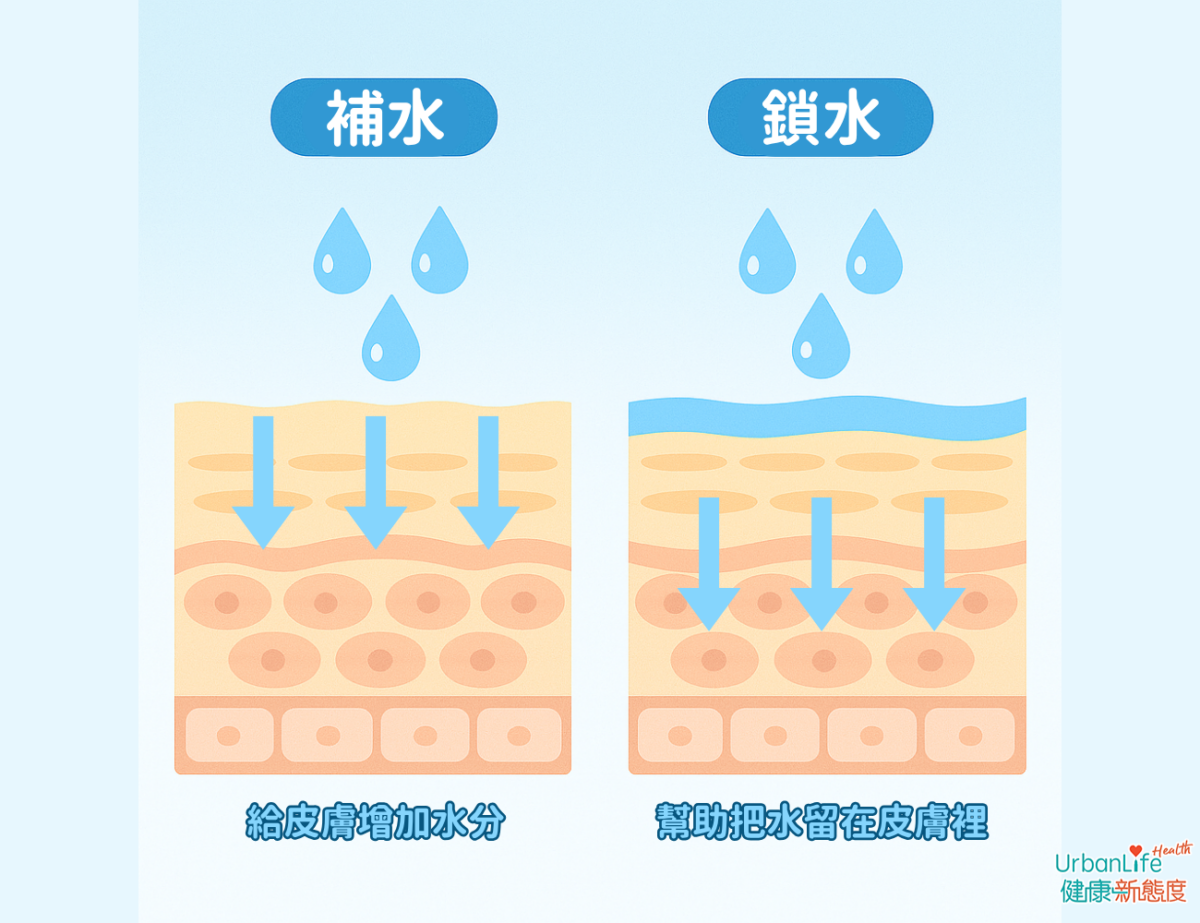 補水和鎖水是不同的保濕概念，需要雙管齊下才能恢復皮膚彈性