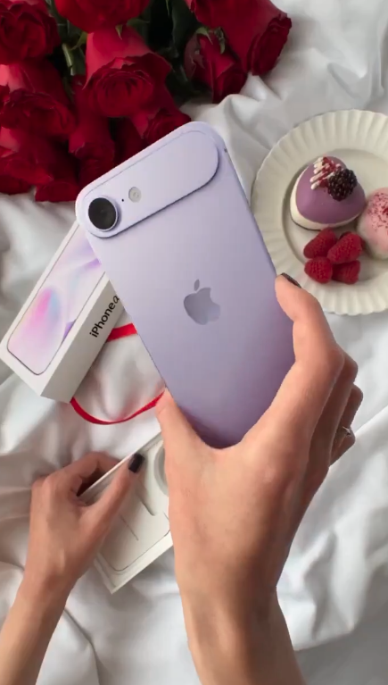 在網上流傳的模型機圖片中，暫時見到有基本黑、白、粉紫色