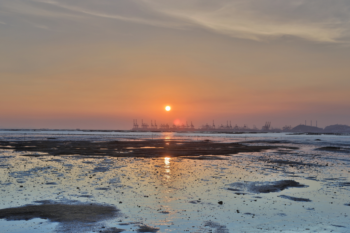 新界半日遊好去處推薦：下白泥。