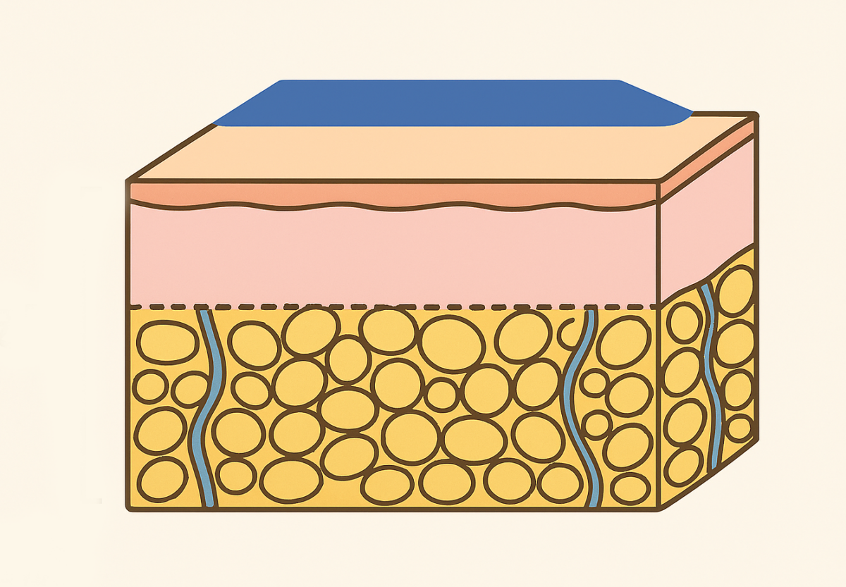 局部減脂可行嗎?