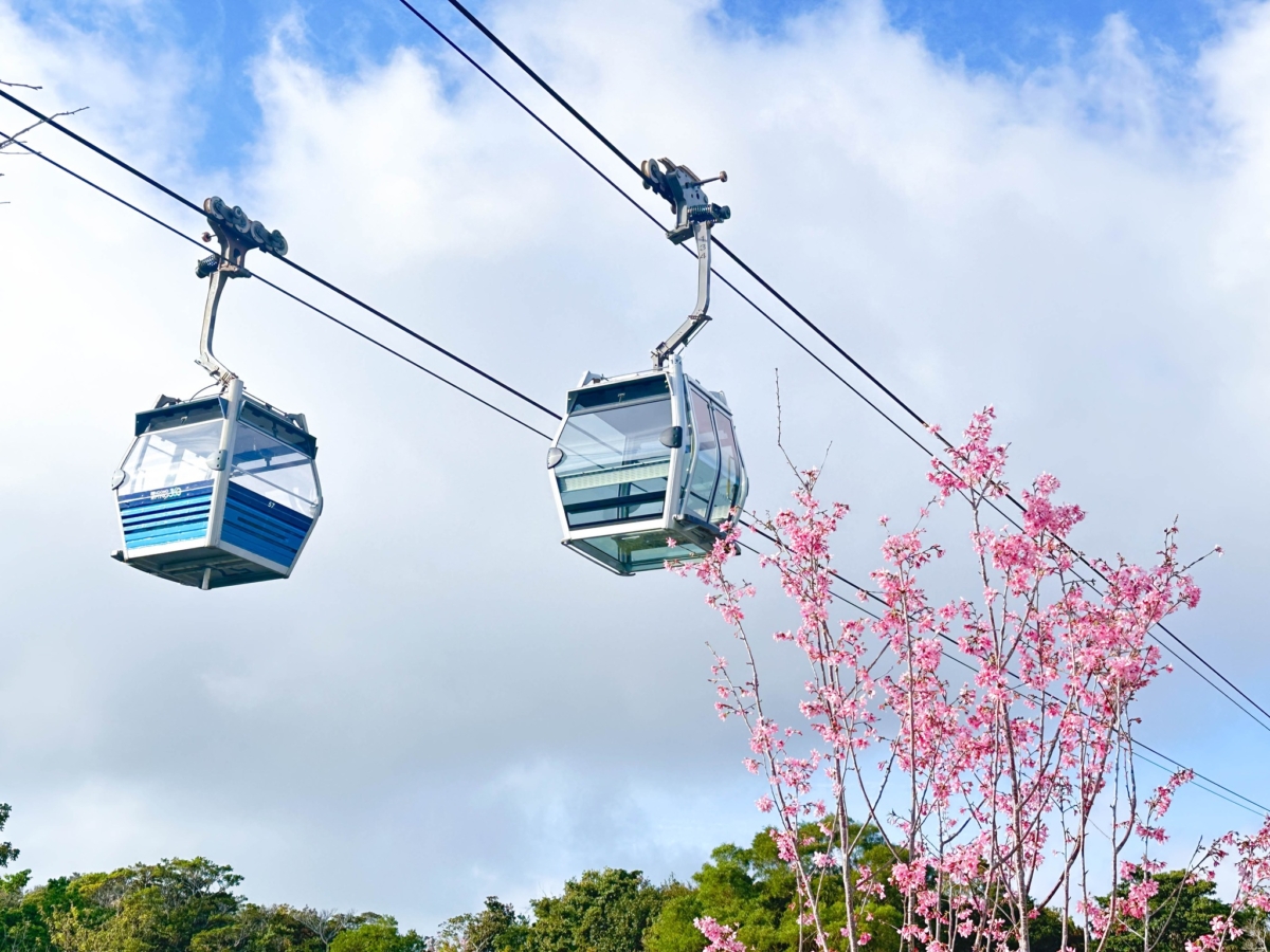 離島半日遊好去處推薦：昂坪。