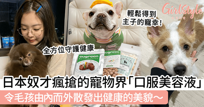 日本奴才瘋搶的寵物界「口服美容液」!令毛孩由內而外散發出健康的美貌~輕鬆得到主子的寵幸!