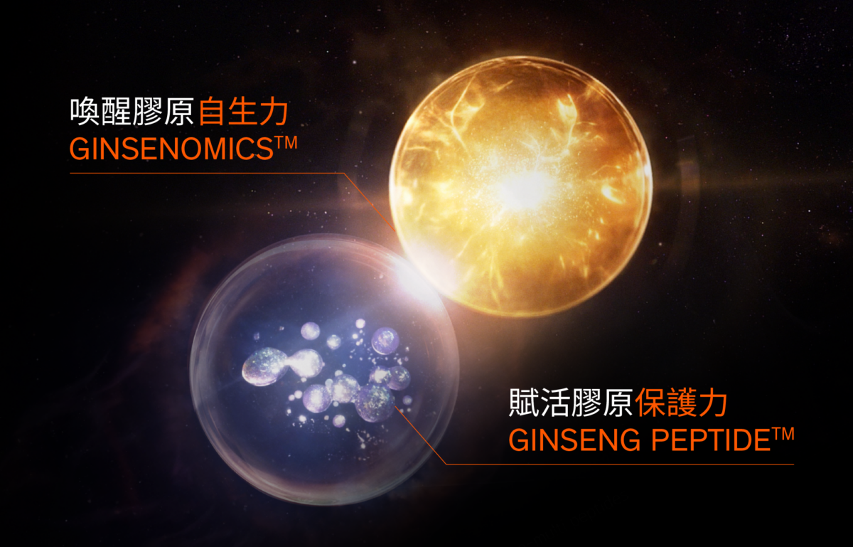 蘊含2大專利人參抗老成分:Ginsenomicsᵀᴹ 及 Ginseng Peptideᵀᴹ,發揮極緻人參協同效應,喚醒膠原自生力及賦活膠原保護力。