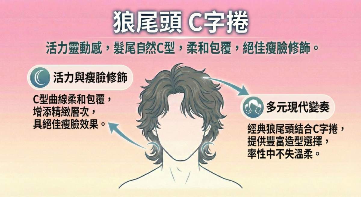一張針對「狼尾頭 C 字捲」的造型指南,解析如何利用髮尾自然的 C 型曲線 柔和包覆臉部,達到 絕佳瘦臉修飾 的效果,同時兼具率性與溫柔的現代感。