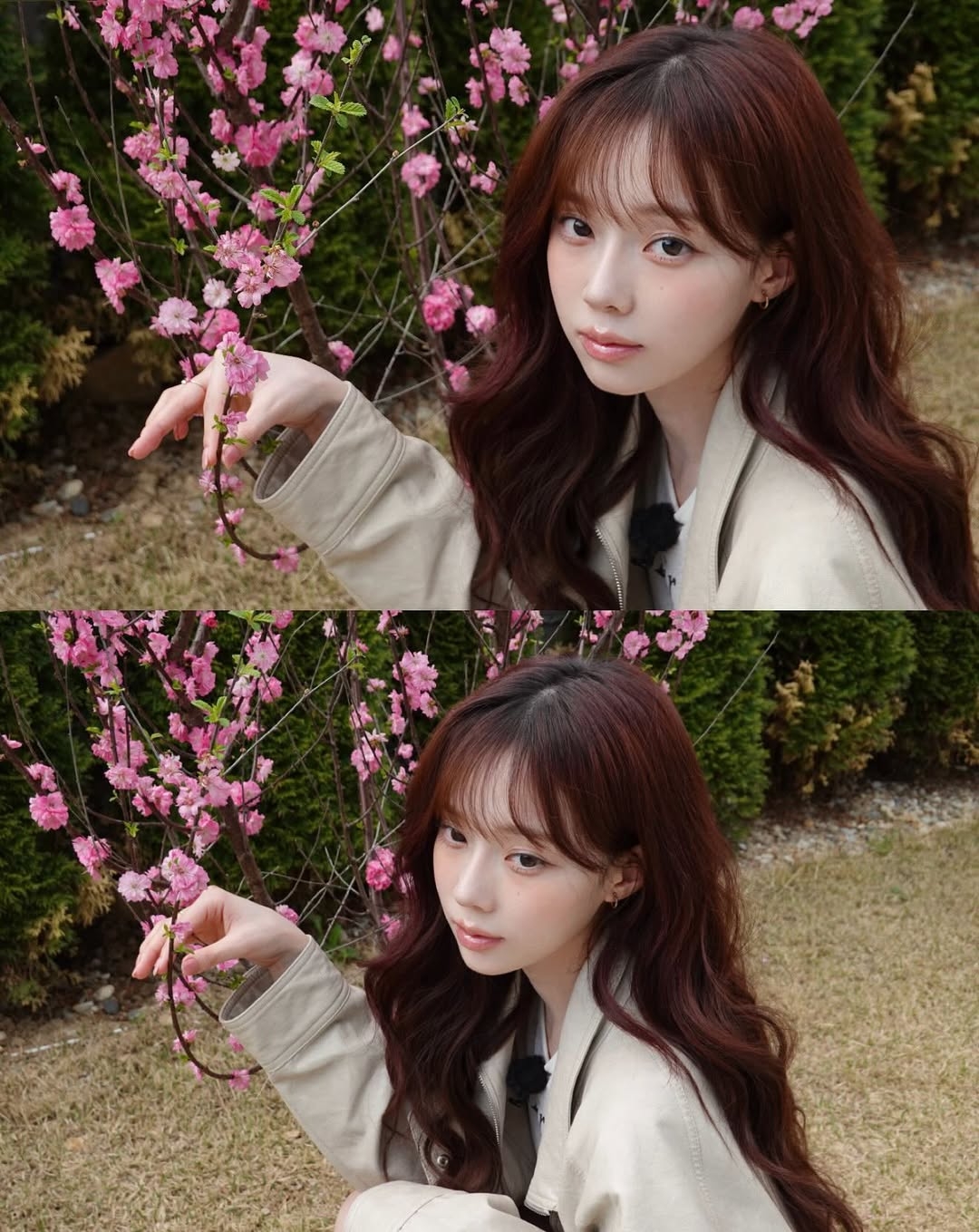 完美融合紅與紫的調性，對於白皙或中性膚色女孩有顯著的顯白效果，能瞬間提升紅潤感。