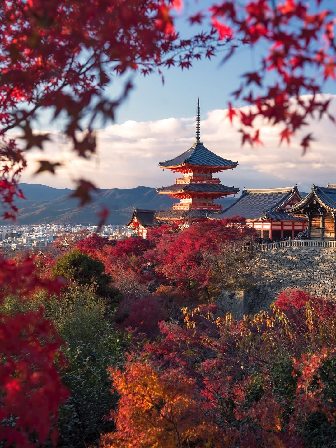 遊日必讀！最強御守地圖