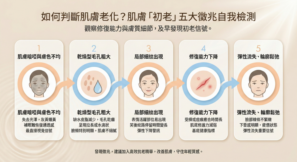 肌膚初老五大徵兆自我檢測表，包含肌膚暗啞、水滴狀乾燥毛孔、局部細紋、修復力下降及輪廓鬆弛等老化警訊。