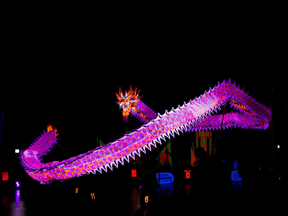 2026年巡遊匯聚多支內地與海外團體組成，陣容涵蓋舞蹈、體育及傳統藝術，為尖沙咀街頭注入繽紛色彩。