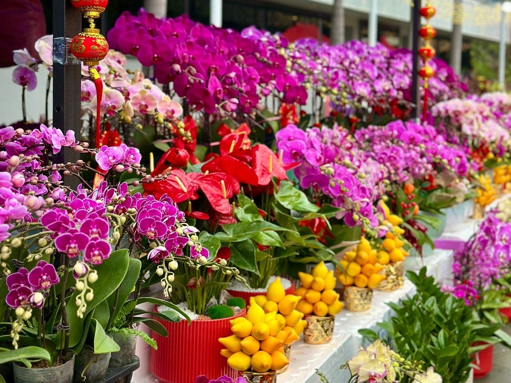 出發前可查看食環署人流實時顯示系統，按綠、黃、紅、灰燈號了解現場擠迫情況，靈活安排行程並留意官方最新更新。