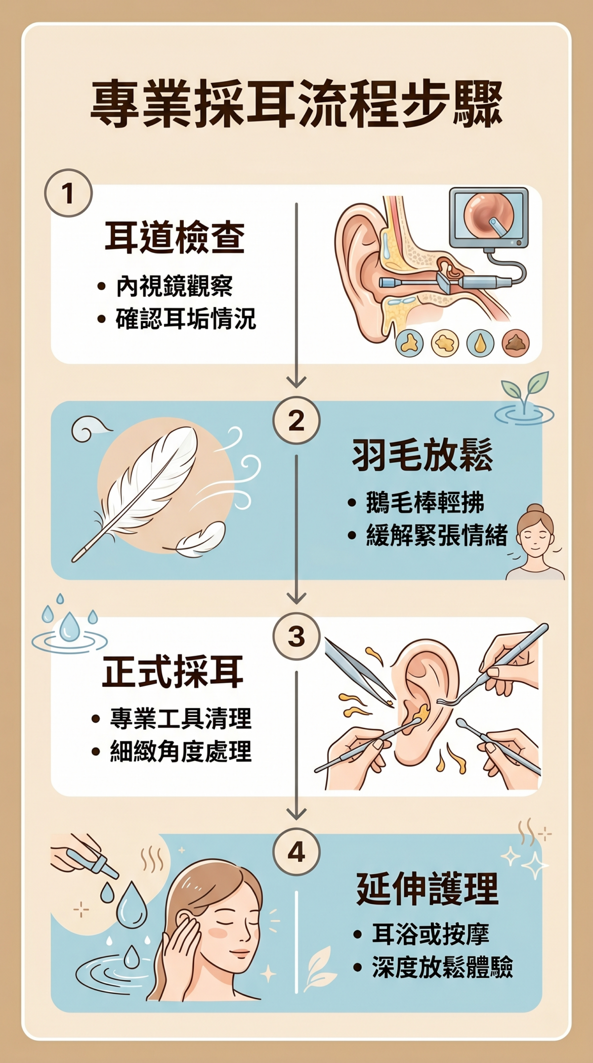 專業採耳流程圖：包含耳道檢查、羽毛放鬆、正式採耳及耳周護理四大步驟說明。
