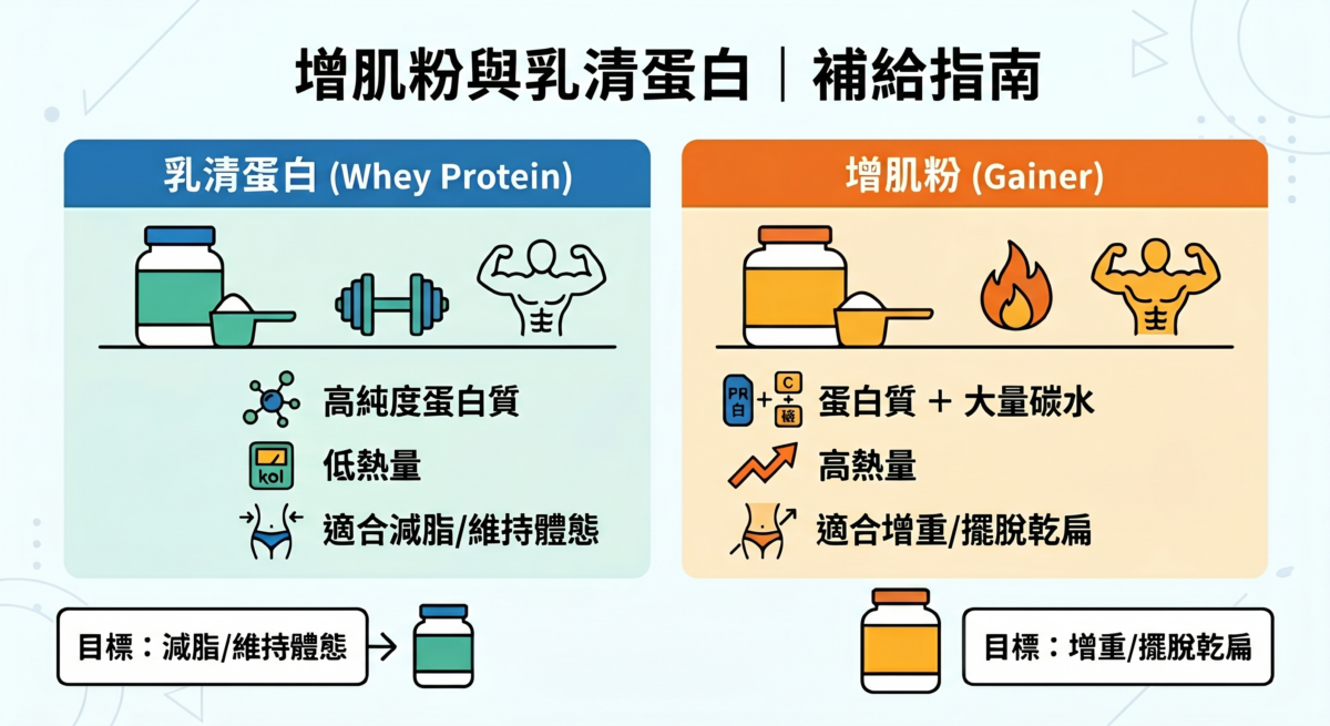 一張對比「乳清蛋白」與「增肌粉」差異的補給指南圖表，說明兩者的成分特點與適合的健身目標。