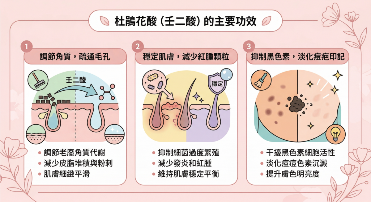 這是一張介紹杜鵑花酸（壬二酸）的主要功效的資訊圖表，1. 調節角質與疏通毛孔、2. 穩定肌膚與減少紅腫、3. 抑制黑色素與淡化痘印。