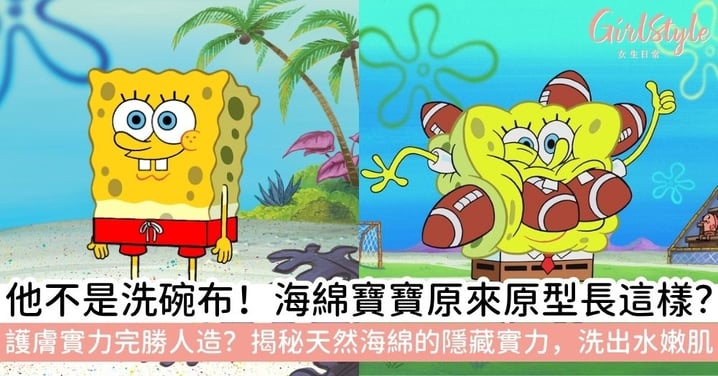 海綿寶寶是什麼生物？真身竟然是「牠」！揭秘童年回憶原型，天然海綿甚至還有護膚功效？