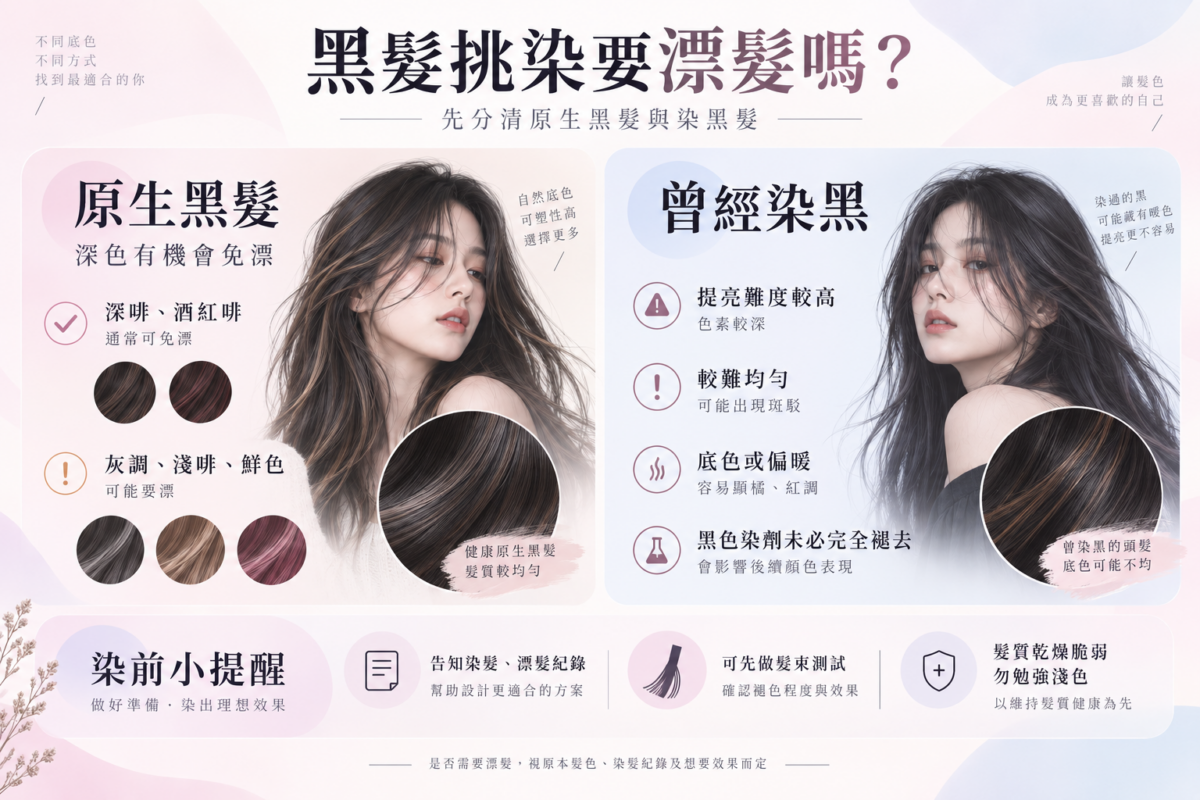 黑髮挑染漂髮評估對照圖，包含原生黑髮與曾經染黑在漂髮需求、提亮難度及染前注意事項。
