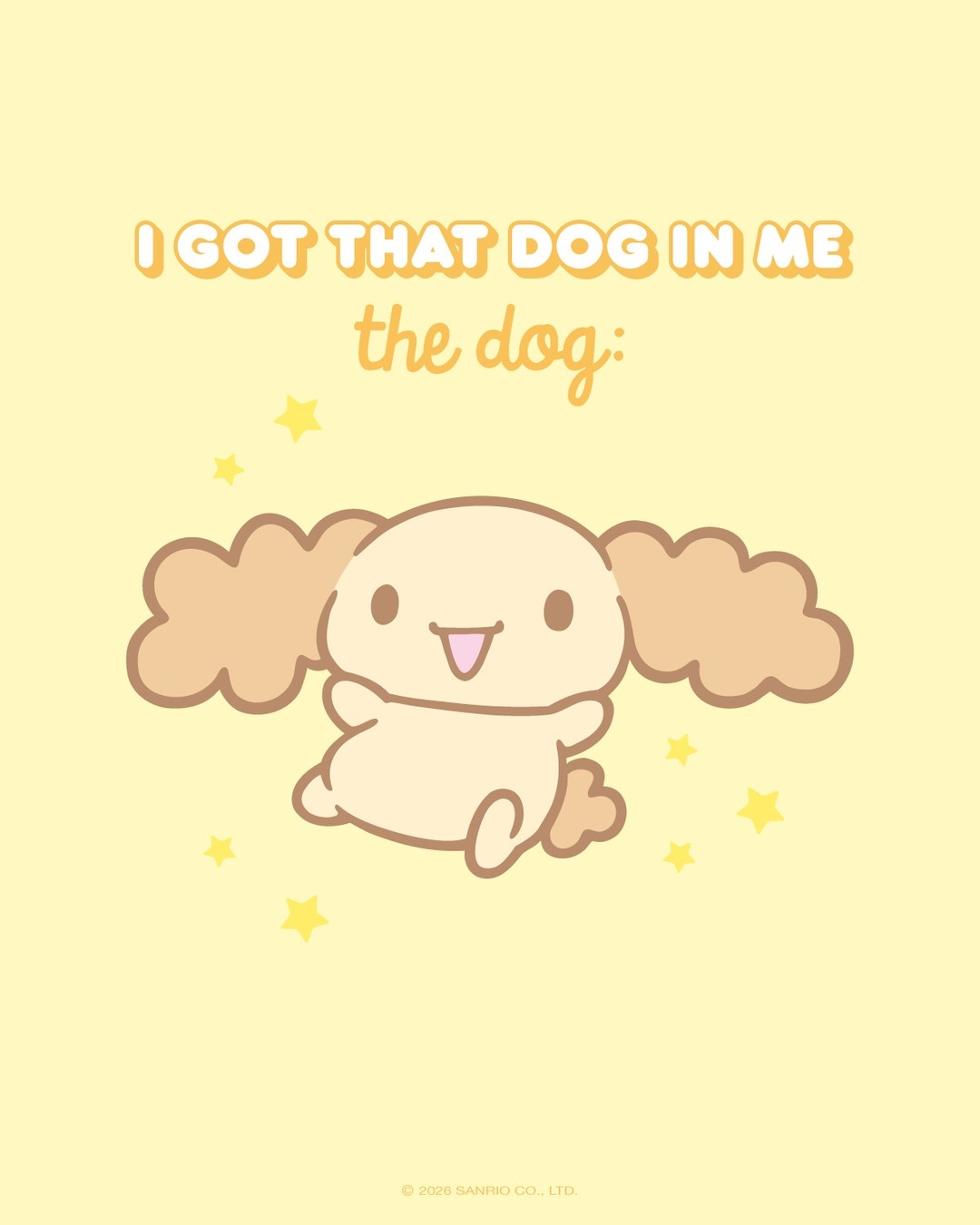 Chiffon一隻米色小狗，耳朵像戚風蛋糕般蓬鬆。