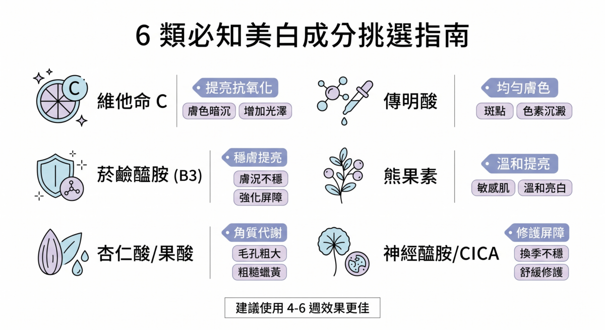 6 類美白成分挑選指南資訊圖:比較維他命 C、傳明酸、菸鹼醯胺、熊果素、酸類及神經醯胺的功效與適合膚質,助你針對暗沉、斑點或敏感肌選對護膚品。