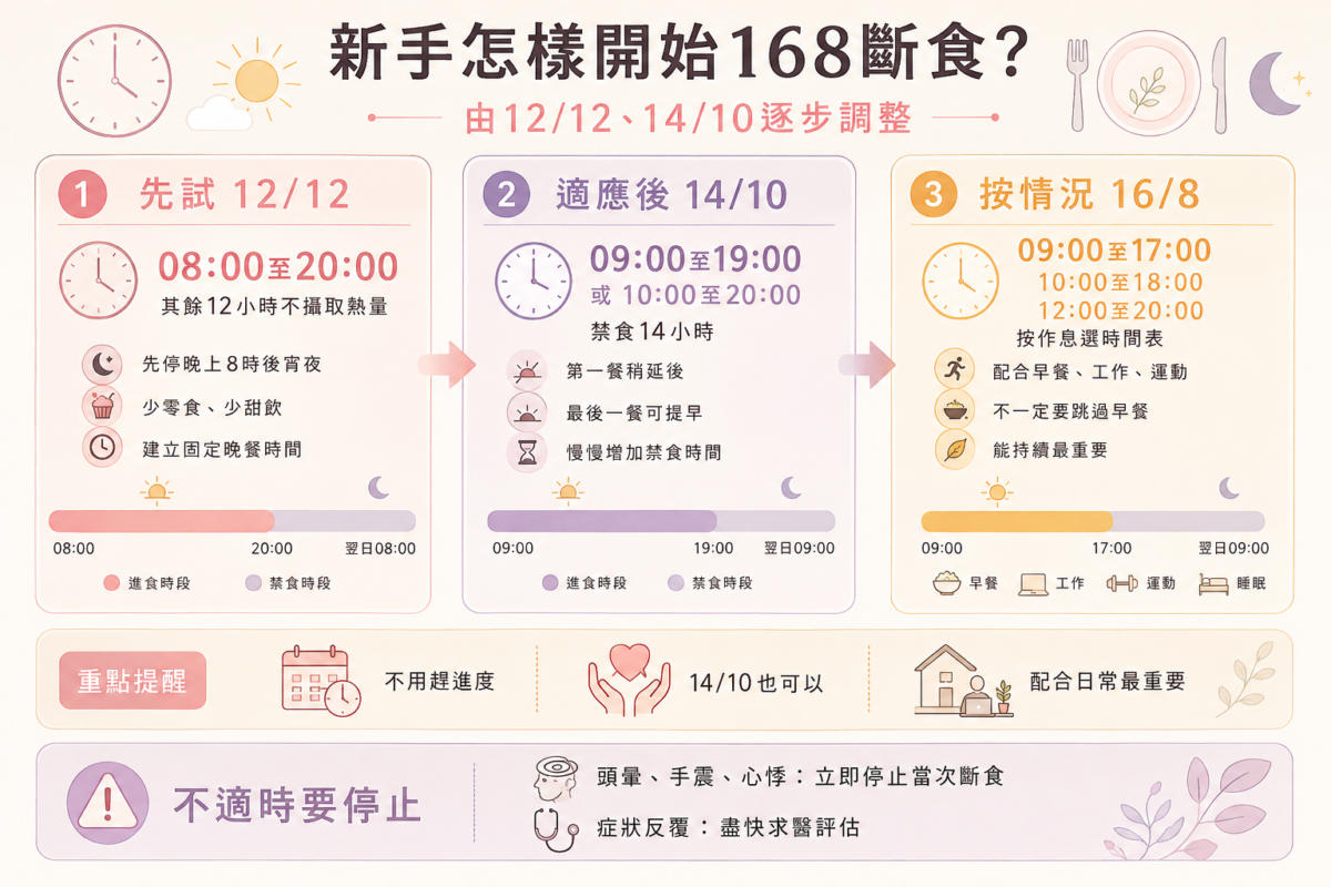 新手168斷食3階段漸進指南圖解:包含12/12戒宵夜、14/10微調首末餐與16/8目標的步驟說明及不適停止提醒。