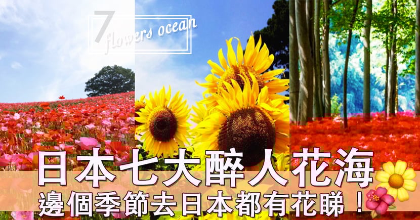 衝擊視覺之景色 日本七大花海 一年四季都有花睇 Holidaysmart 假期日常