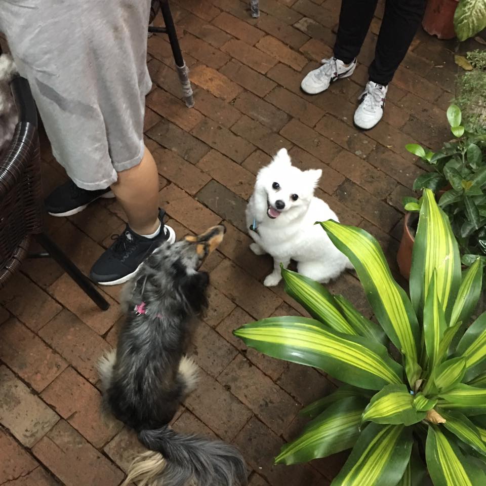 Revolución BBQ Private PartyRoom