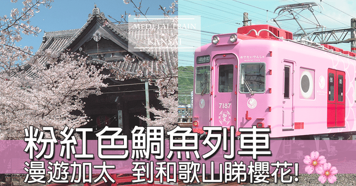 日本和歌山粉紅色鯛魚列車，少女心爆滿～～坐住去睇櫻花超幸福～～