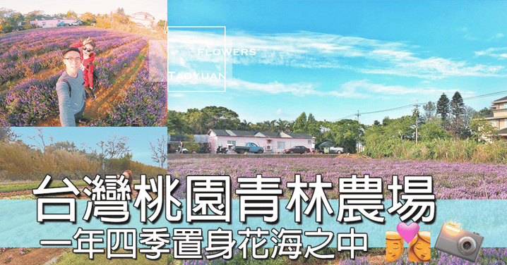 台灣桃園青林農場，置身於花海之中，一年四季都可以賞花，仲可以親手做乾燥花～～