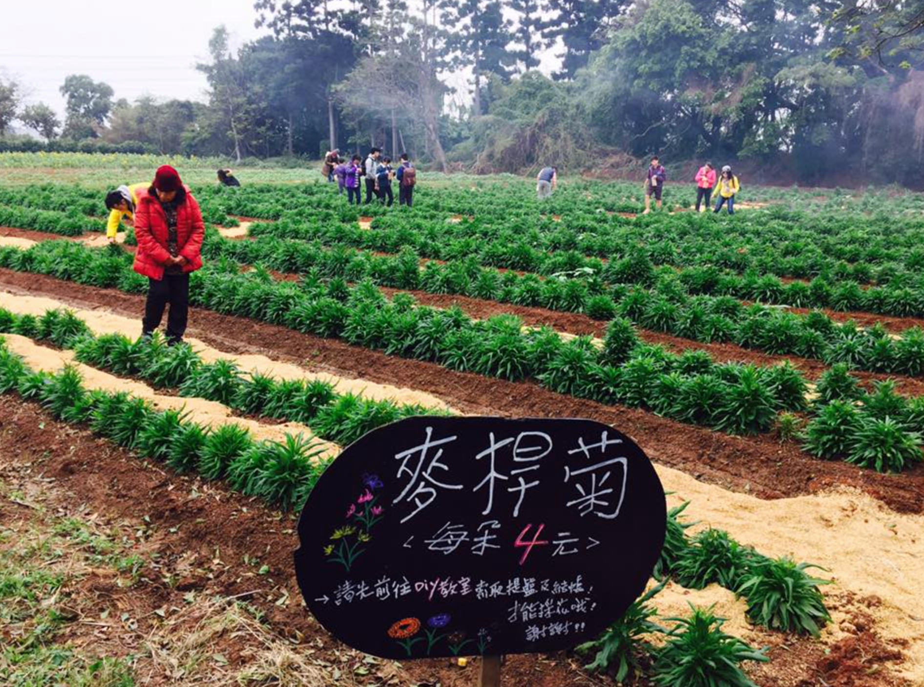 chinglin.farm