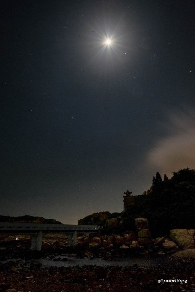 Tomo 的快樂宇宙