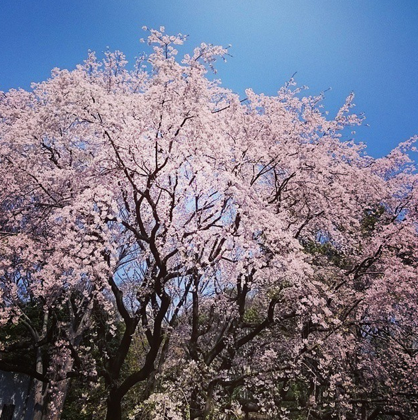 Instagram